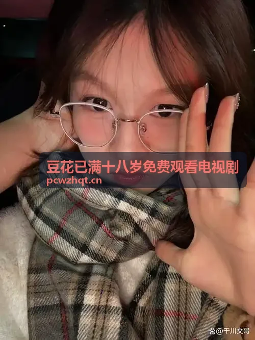豆花已满十八岁免费观看电视剧智能编码技术