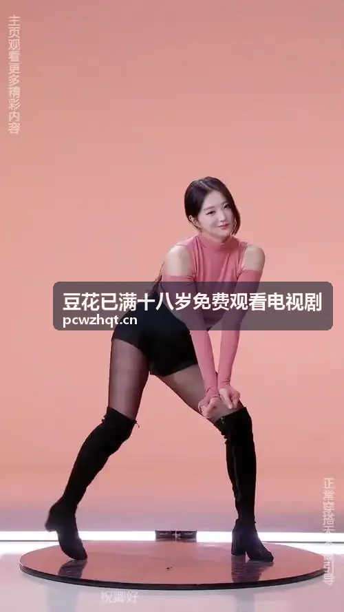 豆花已满十八岁免费观看电视剧屏幕显示标准