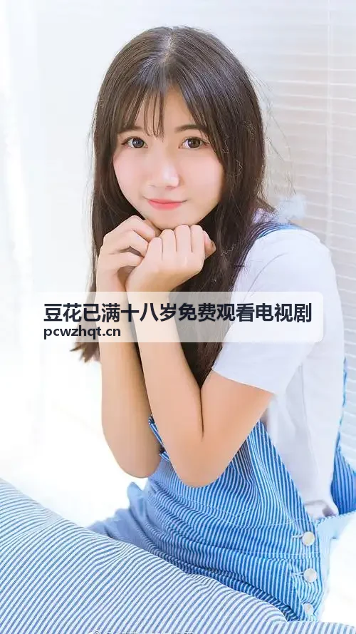豆花已满十八岁免费观看电视剧边缘节点网络